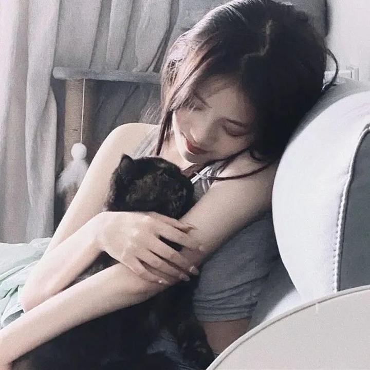 女主播风云